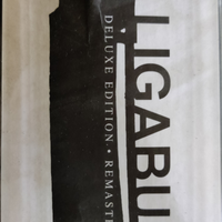 Ligabue Collection