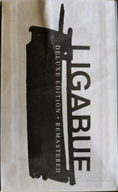 Ligabue Collection