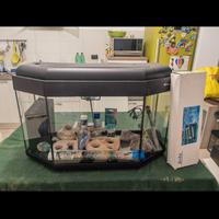  Acquario più accessori 