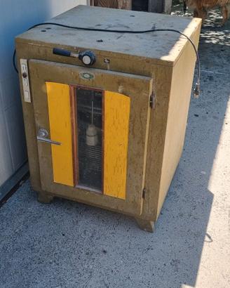 incubatrice per pulcini