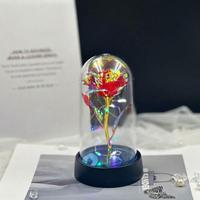 Rosa floreale eterna con luci