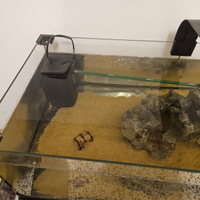 Axolotl più Acquario completo di mobile