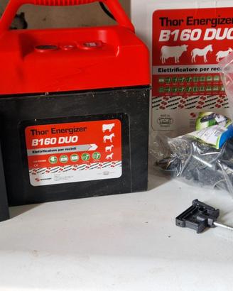 Elettificatore per recinto