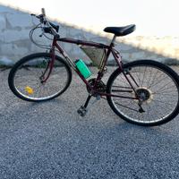 Mountain bike Tornado