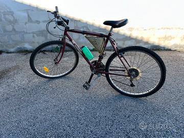 Mountain bike Tornado