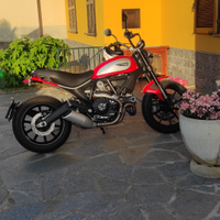 Ducati scrambler 800 icon