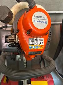 Taglia siepe + arieggiatore + spargi semi