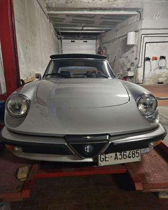 Alfa Romeo spider 1.6 terza serie - Duetto
