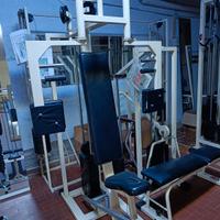 Palestra Panatta bodybuilding 