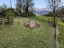 Immagine 11