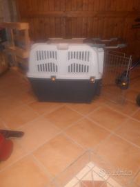 Trasportino IATA 5 SCUDO