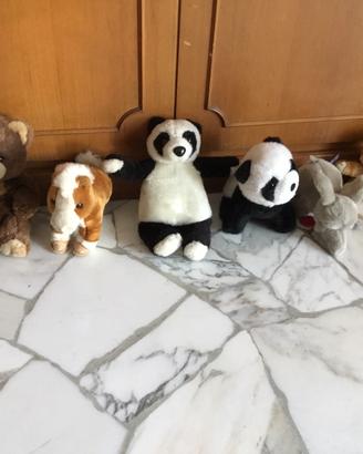 Peluche trudi