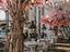 Immagine 29
