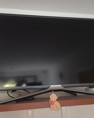TV Samsung 43 pollici 