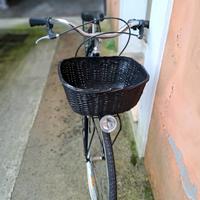 Bici da passeggio