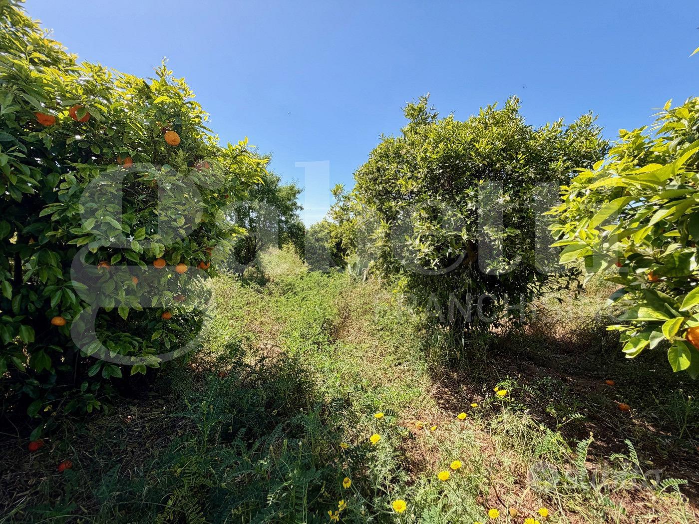 Rustico/Casale/Corte Vittoria - Altro
