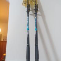 canne da pesca italcanna pegaso coppia 160 grammi 