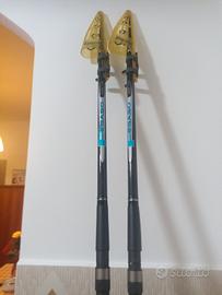 canne da pesca italcanna pegaso coppia 160 grammi 