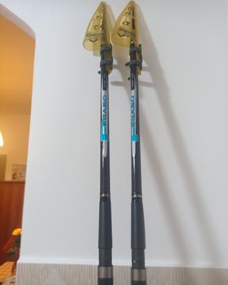 canne da pesca italcanna pegaso coppia 160 grammi 