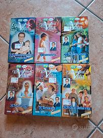 Videocassette ciclo della vita 