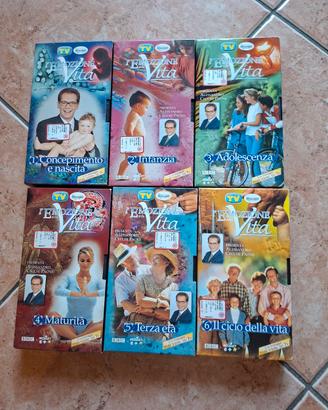 Videocassette ciclo della vita 
