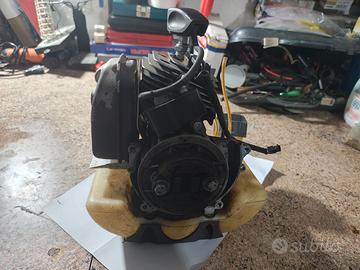 BLOCCO MOTORE NON FUNZIONANTE EFCO DS3000