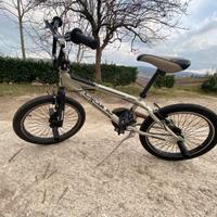 BMX aurelia 2024