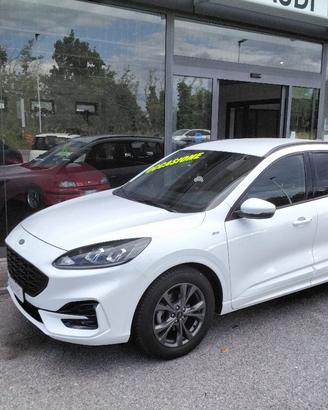 FORD Kuga 1.5 EcoBlue 120 CV 2WD ST-Line
