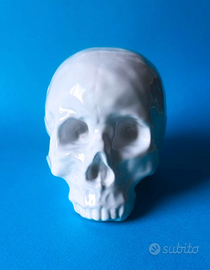 Teschio decorativo in porcellana Seleti design