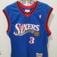 Iverson canotta hardwood classic 99-00
