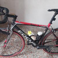  bici corsa focus cayio