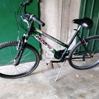 Bici Esperia