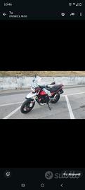 moto Guzzi v85tt 