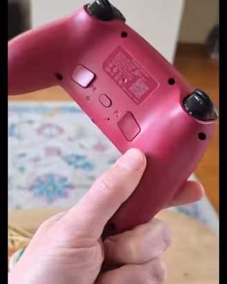 Controller Pro per PS5 / PC con Paddles Posteriori