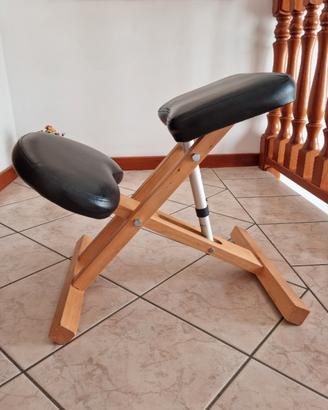 Sedia svedese ergonomica