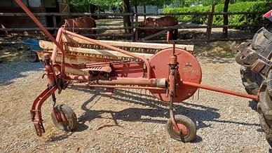 Ranghinatore: andanatore e spandi-volta fieno