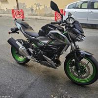 Kawasaki z500se z500 se z 500 se 2025 a2 33.4 kw