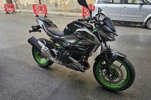 Kawasaki z500se z500 se z 500 se 2025 a2 33.4 kw