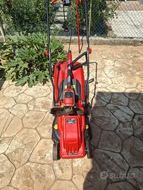 Tagliaerba e Decespugliatore elettrico ProGreen