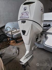 fuoribordo E TEC 250cv