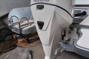 fuoribordo E TEC 250cv