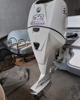 fuoribordo E TEC 250cv