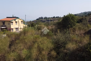 TER. AGRICOLO A MASCALI