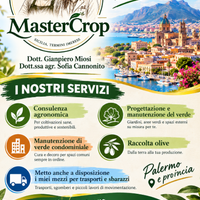 Agronomo, Giardiniere Palermo e Provincia