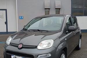 FIAT PANDA AUTOVETTURA 1.2 VERSIONE EASY