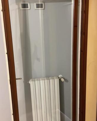 2 porte in vetro con telaio 205 x92 cm