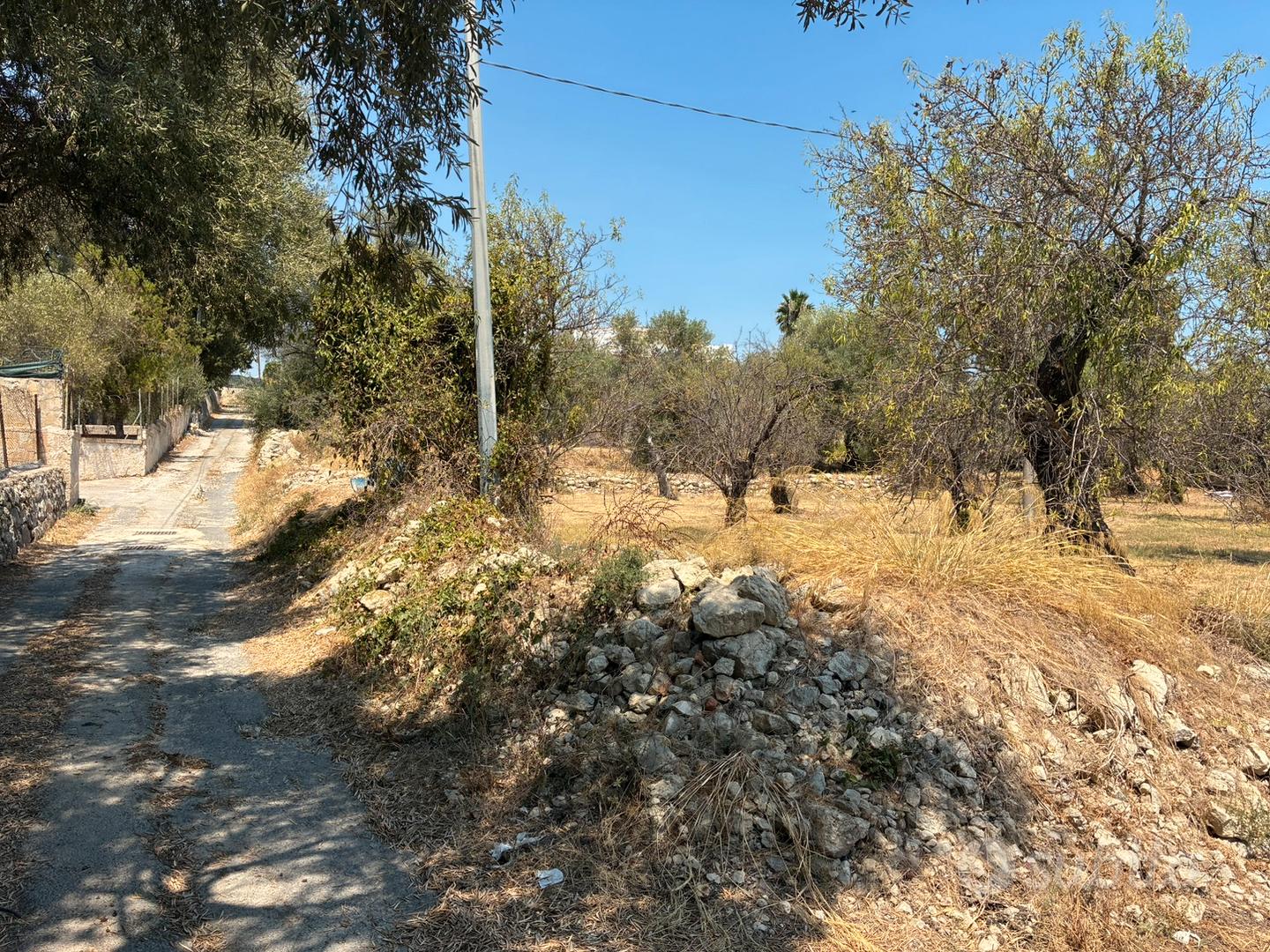 Terreno agricolo in contrada Chiusa di Carlo - Vista 4
