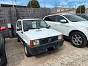 fiat-panda-900-i-e-cat-young