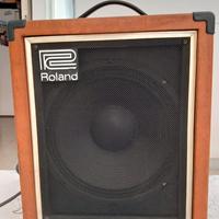 Roland cube 60 Bass