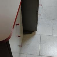 2 Cassettiere basse per ufficio